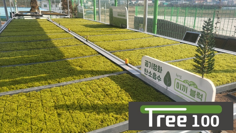 ������ 1